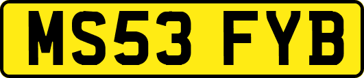 MS53FYB