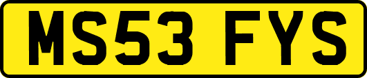 MS53FYS
