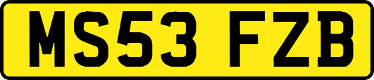 MS53FZB