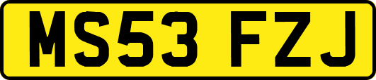 MS53FZJ
