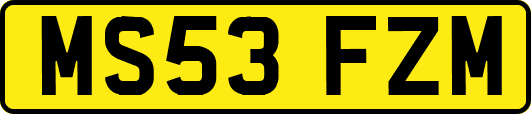 MS53FZM