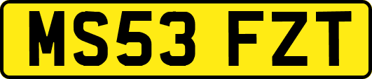 MS53FZT