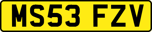 MS53FZV