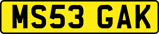 MS53GAK