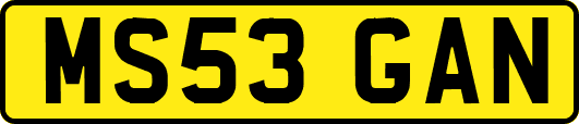 MS53GAN