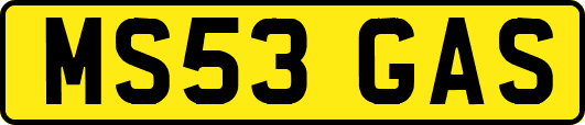 MS53GAS