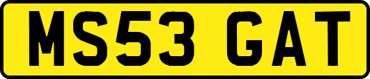 MS53GAT