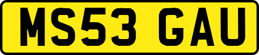 MS53GAU