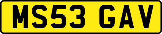 MS53GAV
