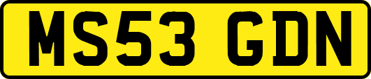 MS53GDN