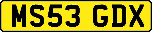 MS53GDX
