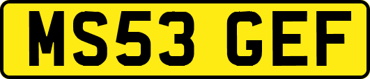 MS53GEF