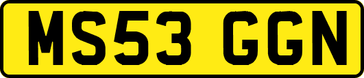 MS53GGN