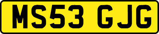 MS53GJG