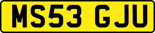 MS53GJU