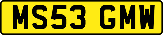 MS53GMW