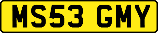 MS53GMY