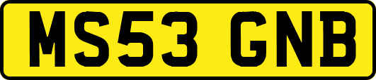 MS53GNB