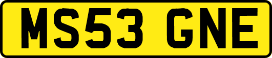 MS53GNE