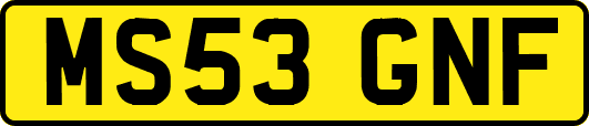 MS53GNF