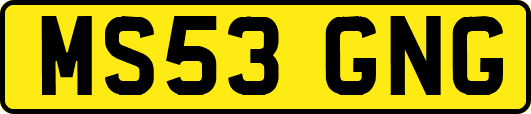 MS53GNG
