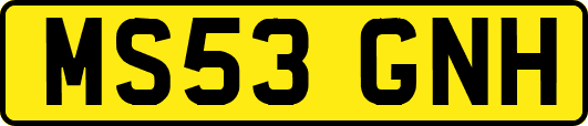 MS53GNH