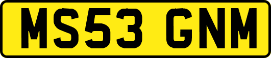MS53GNM