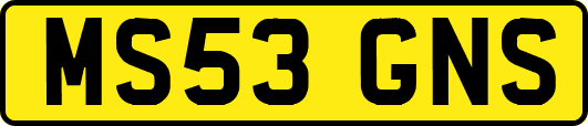 MS53GNS