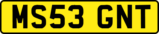 MS53GNT