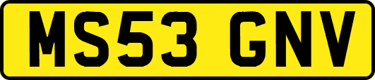 MS53GNV