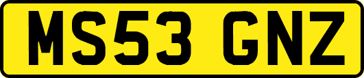 MS53GNZ
