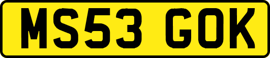 MS53GOK