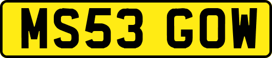 MS53GOW