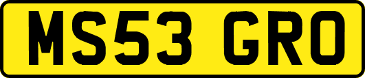 MS53GRO