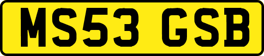 MS53GSB