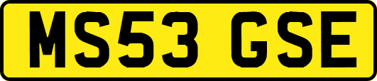 MS53GSE
