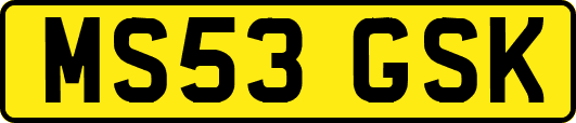 MS53GSK