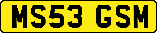 MS53GSM