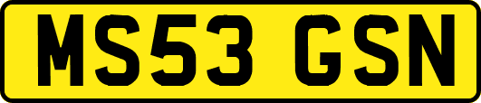 MS53GSN