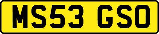 MS53GSO