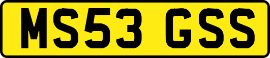 MS53GSS