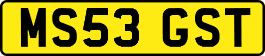 MS53GST