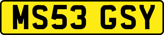 MS53GSY