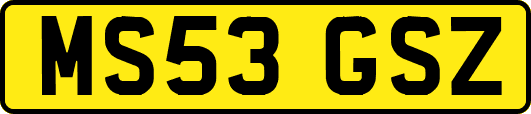 MS53GSZ