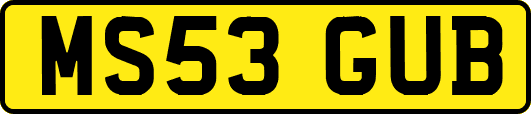 MS53GUB