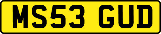 MS53GUD