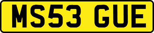 MS53GUE