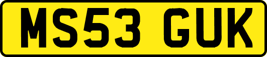 MS53GUK