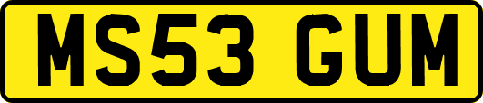 MS53GUM