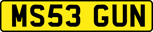 MS53GUN